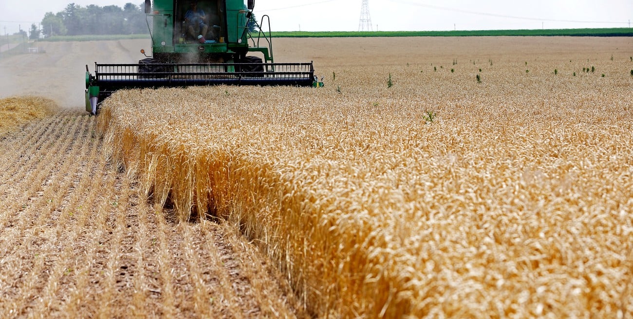 El agro argentino mira una nueva campaña con 155,8 Mt y exportaciones por US$ 42.200 millones