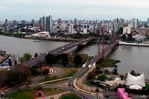 Así lucía la vegetación entre los puentes.