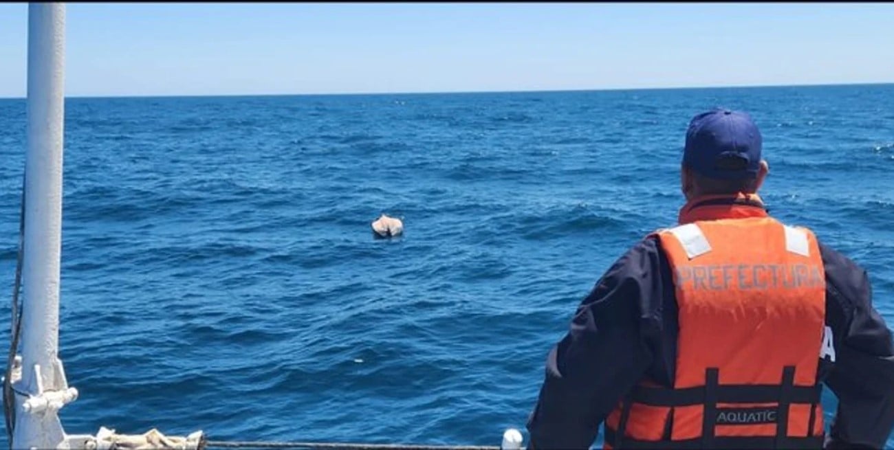 Ingresaron al mar en kayak y desaparecieron: intensa búsqueda en Santa Teresita